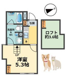 loulou今津（ルルイマヅ）の画像