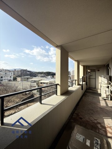アーサー平和セントラルパークの展望