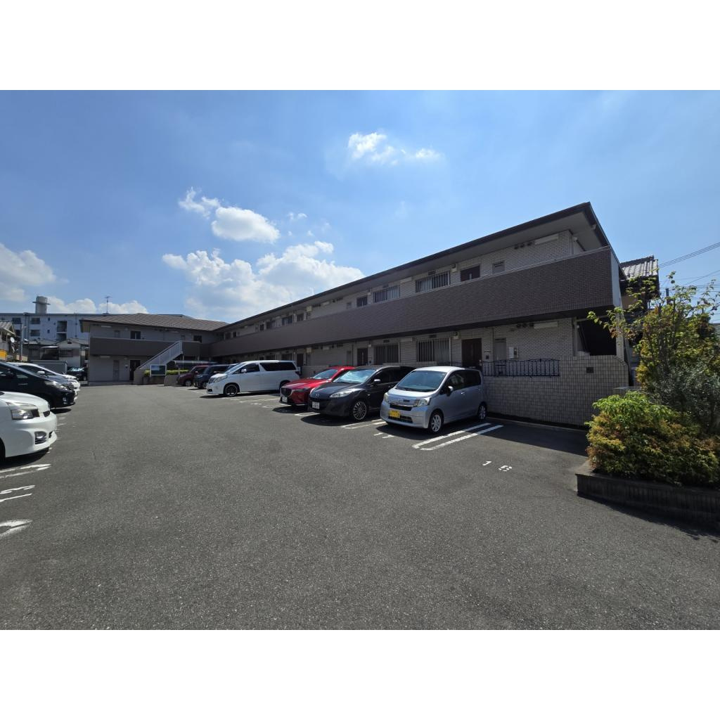 alcyone（アルシオネ）のその他