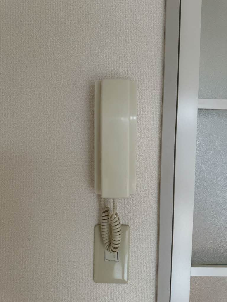 サンベルディＡのその他