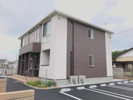 シャインの画像