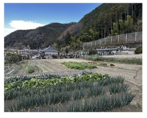 【展望】 | 児玉郡神川町渡瀬　中古戸建