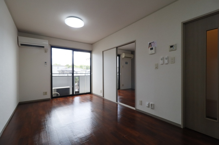 Ｌｉｔｔｌｅ　ｂｉｒｄのその他