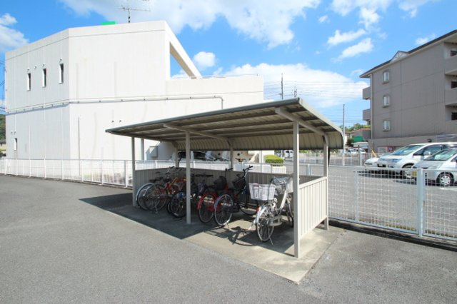 Ｌｉｔｔｌｅ　ｂｉｒｄ