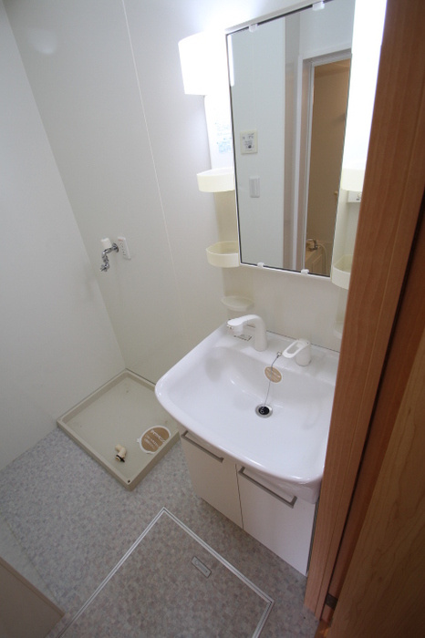 プレジオ六番館の洗面所