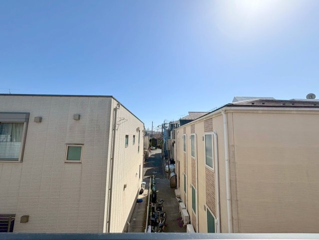 ルピナスの展望