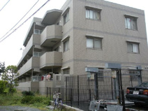 湘南アイランドコーストの画像