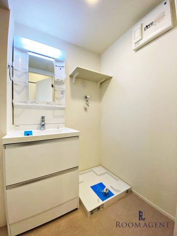 NEXUS Nagoya(ネクサスナゴヤ)の洗面所