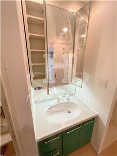 【独立洗面台】 | ロイヤルパークス新田 | 別号室参考写真です