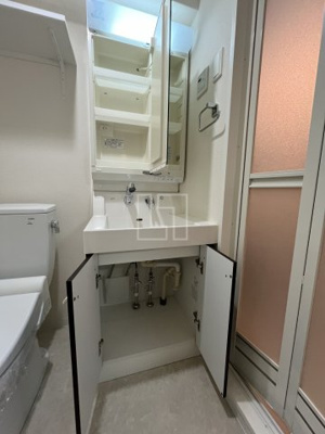 【その他】 | エステムプラザ大手前エヴァース | エステムプラザ大手前エヴァース　洗面台