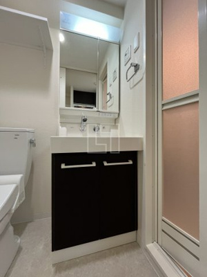 【洗面所】 | エステムプラザ大手前エヴァース | エステムプラザ大手前エヴァース　洗面脱衣所