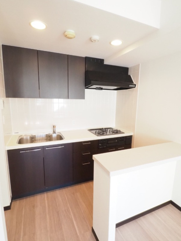 パークフラッツ市谷台町坂のキッチン|※同タイプ参考写真　カウンター付き