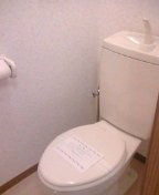 ウィスティリアＢのその他