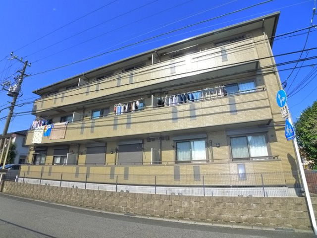 セジュール山の根