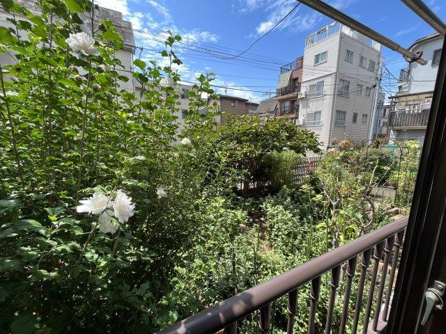 フルール松島の展望