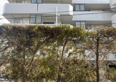 【展望】 | 藤和シティコープ相模原 | 眺望の良さを楽しめるダイニングキッチンで家族団らんの時間を過ごしてはいかがでしょうか。バルコニーから見える景色を家族で眺める時間は、時間が経つのを忘れてしまいそうですね。是非、現地を見に行きましょう！