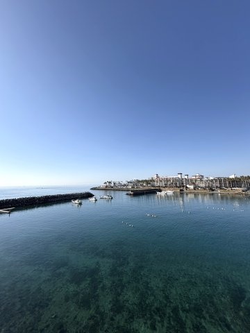 Ocean Retreat Living ― 逗子の海と自然に包まれる、再生邸 ―の展望