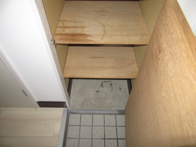  | グリーンコート