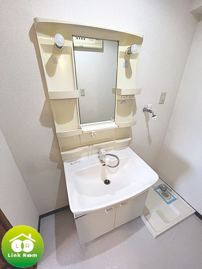 プルミエール清洲の洗面所