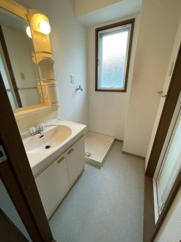 グリーンコーポの洗面所