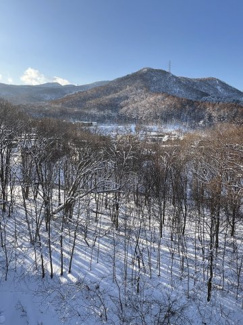 【展望】 | パーソナルヒルズ宮の沢ファーストステージ | 主寝室の窓からは敷地内の自然林や山々が見渡せます♪