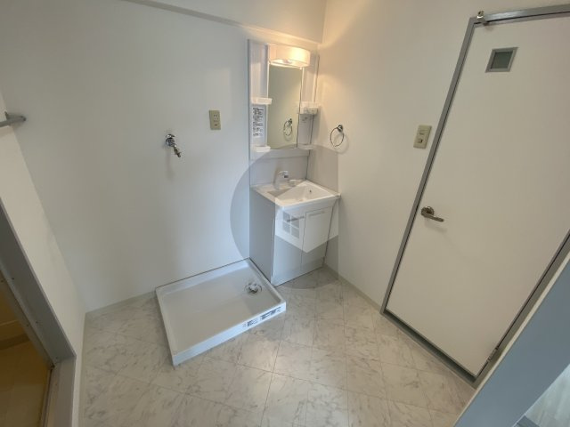 エリスハイム田中の洗面所