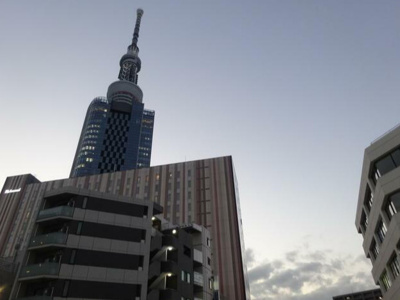 【展望】 | Forest Village