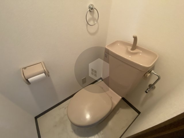 グラン・ドゥ・ルイのトイレ