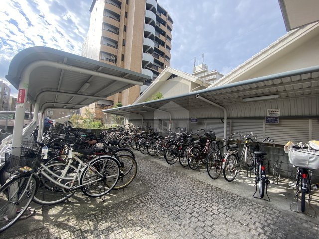 グラン・ドゥ・ルイのその他