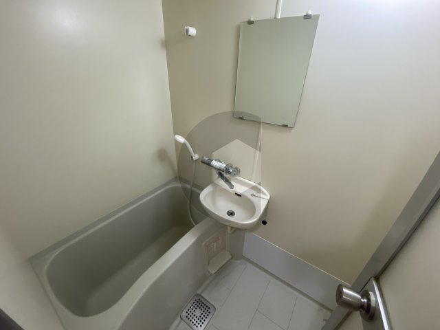 グラン・ドゥ・ルイの浴室