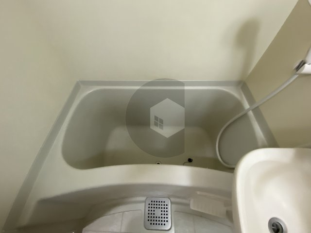 グラン・ドゥ・ルイの浴室