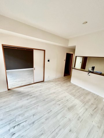 メゾンドール江坂の内装