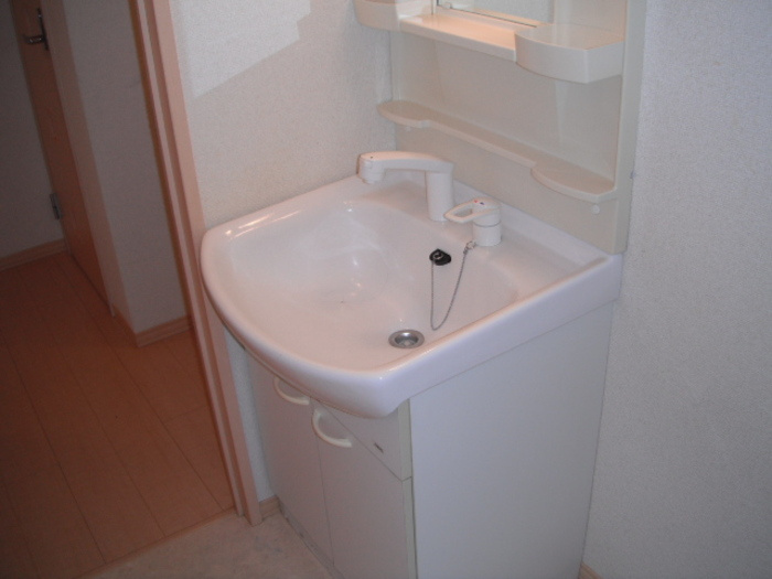 クレーネ東の洗面所