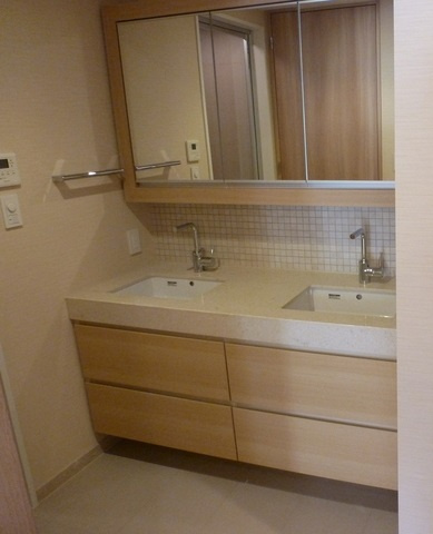 港区六本木５丁目の賃貸マンションのその他|洗面