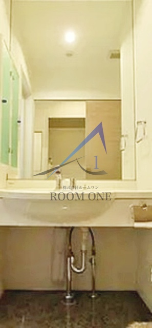 レックス多摩川レジデンスの洗面所|洗面台です。