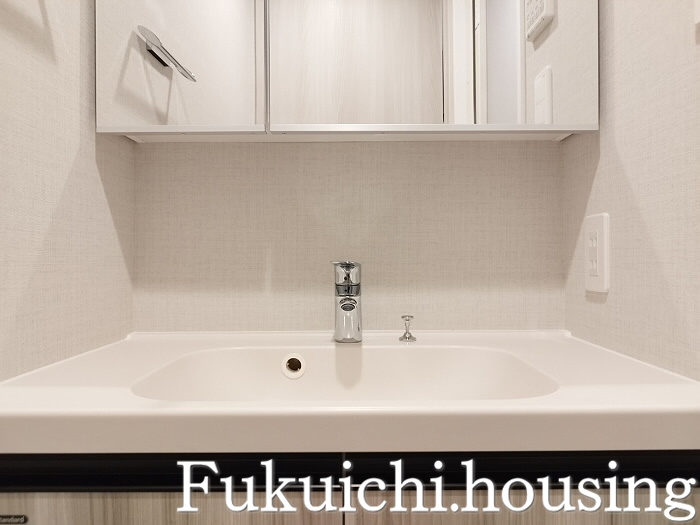 DIPS明大前の洗面所