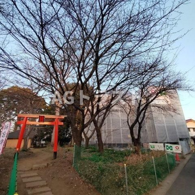 【周辺】 | Noble raffiner東大宮 | 氷川の杜の中の物件