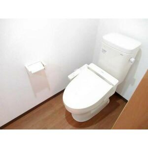 DREAM STAGE HT IWAKURA