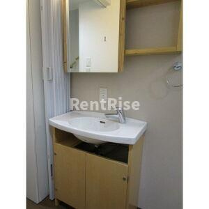 DREAM STAGE HT IWAKURAの洗面所