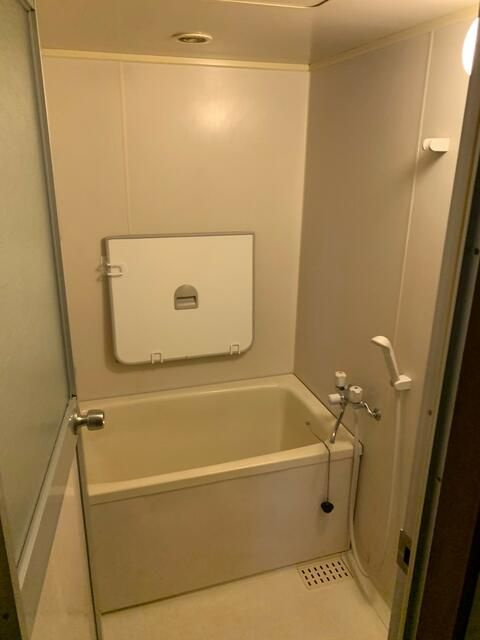 メゾン・ド・ヴェールの浴室