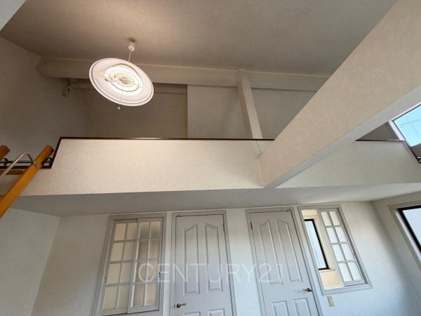 前橋市上新田町中古一戸建ての洋室|ロフト