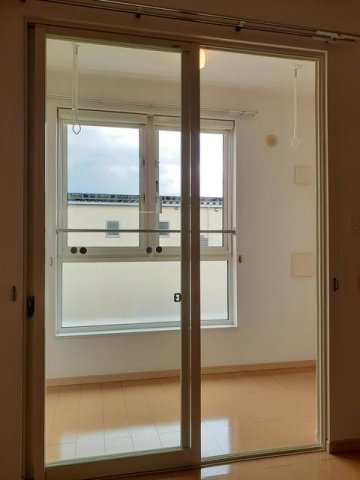 ベルグラ－ス　Ｂのその他