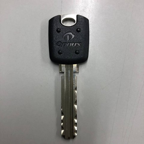 レオネクスト六番館の玄関|設備・仕様は号室により異なる為、現況を優先致します。