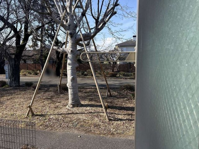 レオネクスト小金井公園Ⅱのその他