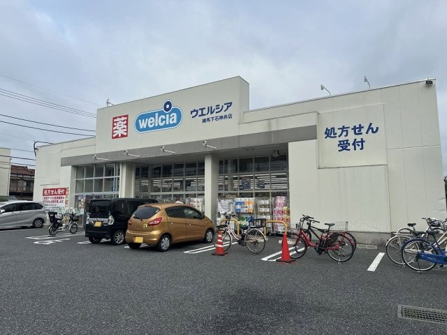 レオネクストグリーン下石神井の周辺