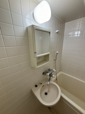 【独立洗面台】 | ソレアードトレスなんばWEST | ソレアードトレスなんばWEST　洗面台