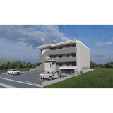 ロビニア若草の画像