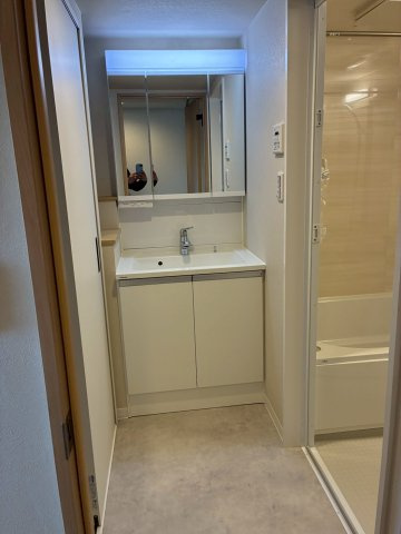 グリーンビュー第三川口の独立洗面台