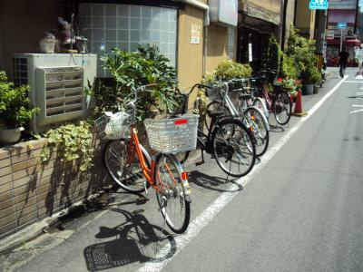 スパッションＭ&Ｊのその他