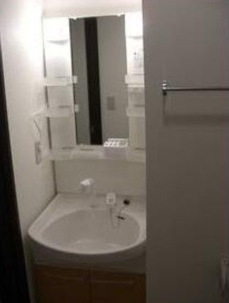 リュミエール並木の洗面所